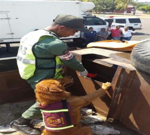 DROGA_PUERTO_LA_CRUZ_1