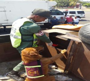 DROGA_PUERTO_LA_CRUZ_1