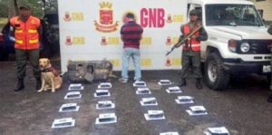 8a3f319750197982c1c1c53afdc6e5fd_13-863-430-c