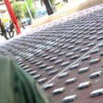 Venezuela, una mención marginal en los informes mundiales y europeos sobre drogas 2025