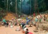 Operativo Militar Sacude Zonas Mineras del Sur de Bolívar