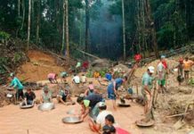 Operativo Militar Sacude Zonas Mineras del Sur de Bolívar