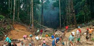 Operativo Militar Sacude Zonas Mineras del Sur de Bolívar