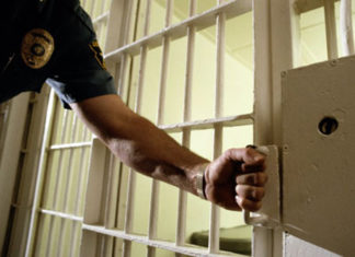 Alerta en EE.UU.: Reasignación de agentes federales a operativos migratorios deja en segundo plano investigaciones de delitos grave