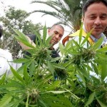 Otro estado se suma a tendencia de legalizar la marihuana recreativa en EEUU