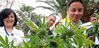 Otro estado se suma a tendencia de legalizar la marihuana recreativa en EEUU