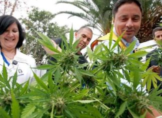 Otro estado se suma a tendencia de legalizar la marihuana recreativa en EEUU