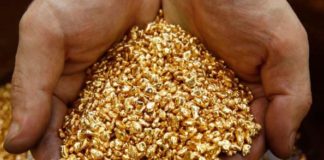 Preguntan a Gobiernos de Curazao y Aruba por contrabando de oro desde Venezuela