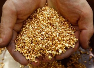 Producción de oro en el Estado Bolívar y el fraude electoral