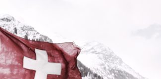 Cuñados de Carlos Osorio recibieron mas de $6 millones por importación de carne para CASA