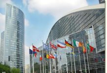 Proyecto Aurora del BPI: Una victoria crucial en la batalla contra el blanqueo de capitales