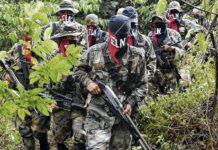 El Pitazo | Denuncian que grupos irregulares operan en seis estados de Venezuela