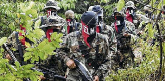 El Pitazo | Denuncian que grupos irregulares operan en seis estados de Venezuela