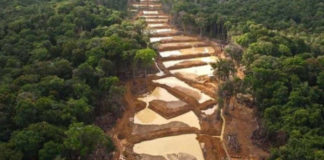 Arco Minero aportó al BCV 2 mil quilates de diamantes y 803 kilos de oro