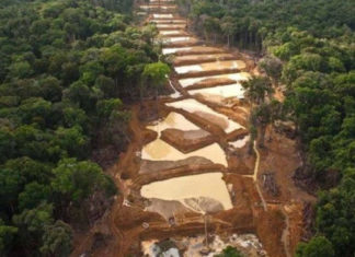 Régimen de Maduro y minera Crystallex llegan a acuerdo por disputa sobre mina de oro