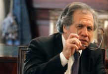 Almagro: Declaraciones de Ortega Díaz son extrema utilidad para expertos