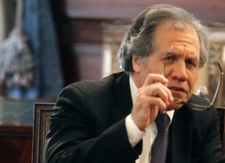 Almagro: Declaraciones de Ortega Díaz son extrema utilidad para expertos