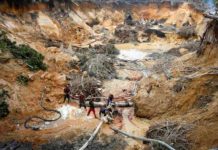 AN alerta sobre efectos biológicos, psicológicos y sociales de explotación del Arco Minero