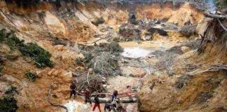 AN alerta sobre efectos biológicos, psicológicos y sociales de explotación del Arco Minero