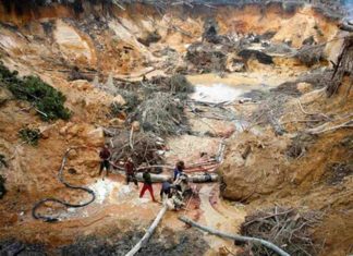 AN alerta sobre efectos biológicos, psicológicos y sociales de explotación del Arco Minero