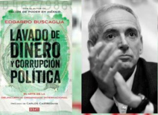 Lavado de dinero y corrupción política | Reseña del libro de Edgardo Buscaglia