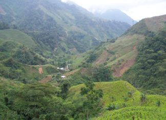 Denuncian asalto cometido por militares venezolanos en Colombia