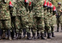 Ejército de Colombia destruye 14 laboratorios de cocaína del ELN