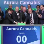 Aurora lanza una opa para convertirse en el vendedor de marihuana legal más grande del mundo