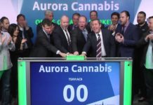 Aurora lanza una opa para convertirse en el vendedor de marihuana legal más grande del mundo