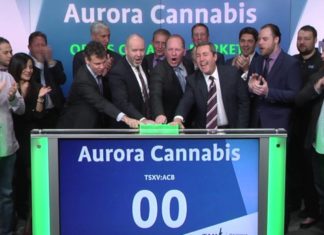 Aurora lanza una opa para convertirse en el vendedor de marihuana legal más grande del mundo