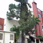 Fallecen otros tres niños por malnutrición en San Cristóbal