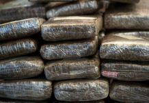 Tres toneladas de marihuana fueron incautadas en Argentina en Nochebuena