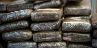 Tres toneladas de marihuana fueron incautadas en Argentina en Nochebuena