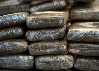 Tres toneladas de marihuana fueron incautadas en Argentina en Nochebuena