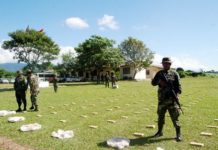 Incautadas 574 kilos de marihuana en un auto en la provincia de Corrientes