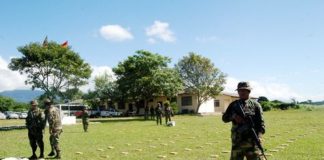 Incautadas 574 kilos de marihuana en un auto en la provincia de Corrientes