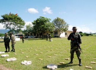 Incautadas 574 kilos de marihuana en un auto en la provincia de Corrientes