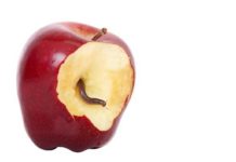 Apple pagará al gobierno irlandés 13.000 millones de euros por multa fiscal