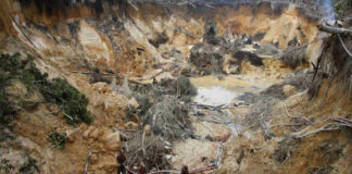 Arco Minero del Orinoco aportó 7,8 toneladas de oro a reservas del BCV