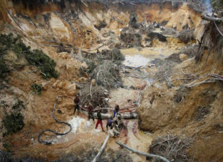 Arco Minero del Orinoco aportó 7,8 toneladas de oro a reservas del BCV