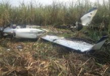 Dictan prisión a dos hondureños vinculados con avioneta venezolana con droga