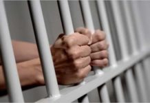 Golpe a organización de narcotráfico en localidades de Usaquén y Suba en Bogotá