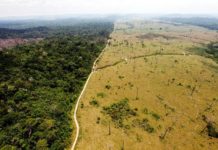 El Arco Minero nace en el sur de Venezuela y termina en la isla de Barbados