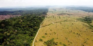 El Arco Minero nace en el sur de Venezuela y termina en la isla de Barbados