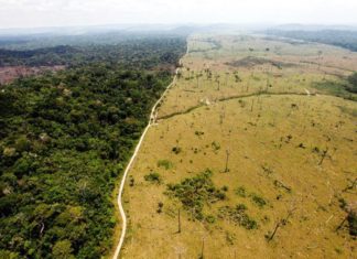 El Arco Minero nace en el sur de Venezuela y termina en la isla de Barbados