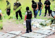 Incautada avioneta con droga y detenidos dos indígenas misquitos en Honduras