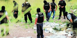 Incautada avioneta con droga y detenidos dos indígenas misquitos en Honduras