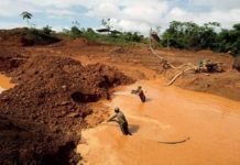 Maduro: Oro y diamante serán soporte de la criptomoneda