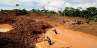 Los estragos del Arco Minero