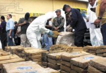 Ocho guatemaltecos detenidos con casi una tonelada de cocaína en El Salvador